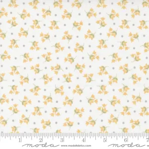 Buttercup and Slate - 529154-11 - Cloud - Tulip Floral