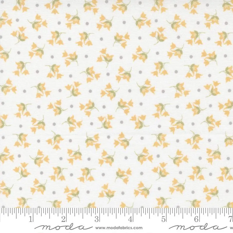 Buttercup and Slate - 529154-11 - Cloud - Tulip Floral