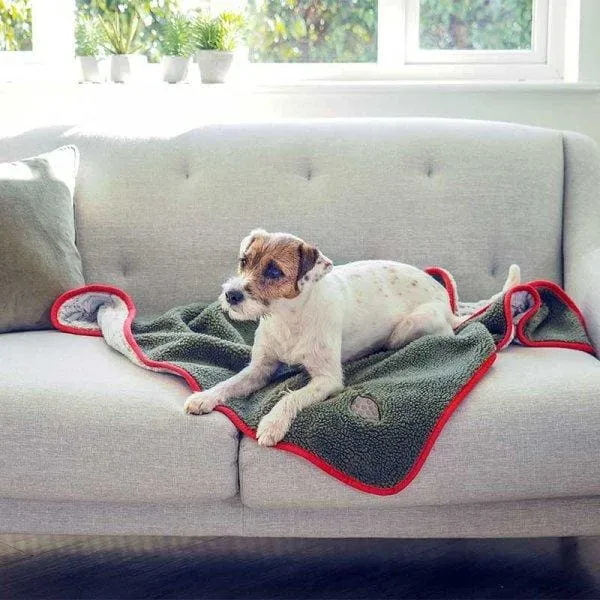 Feathered Friends Comforter Dog Blanket