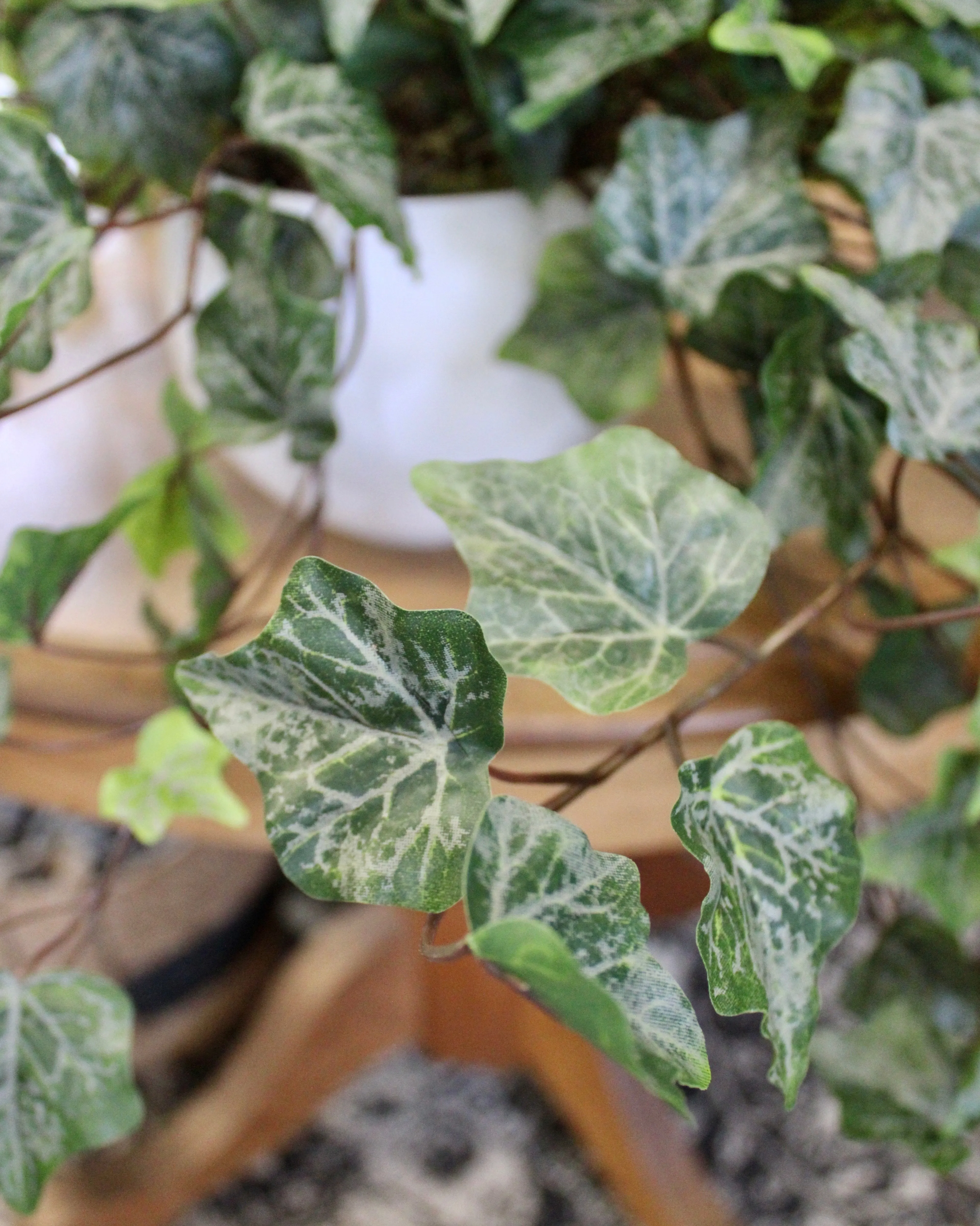 Frosted Green Ivy Bush